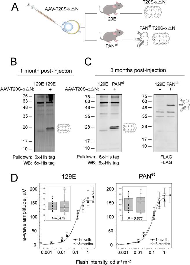 https://cdn.ncbi.nlm.nih.gov/pmc/blobs/06d9/11449290/be425d0f1785/pone.0308058.g005.jpg