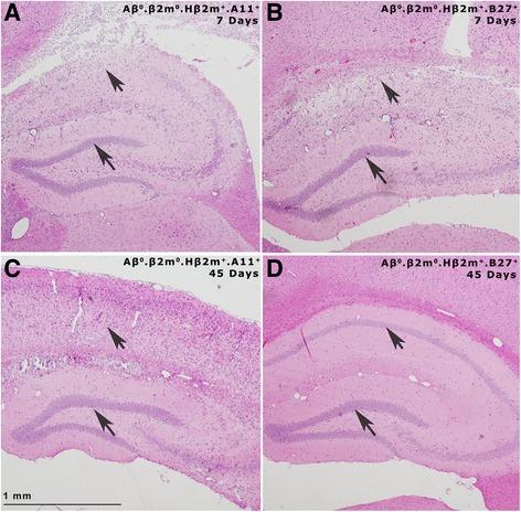 https://cdn.ncbi.nlm.nih.gov/pmc/blobs/06d9/5112886/921205cdc70b/12974_2016_759_Fig4_HTML.jpg