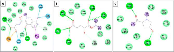 https://cdn.ncbi.nlm.nih.gov/pmc/blobs/06da/11817823/ec570060c49b/13104_2025_7133_Fig1_HTML.jpg