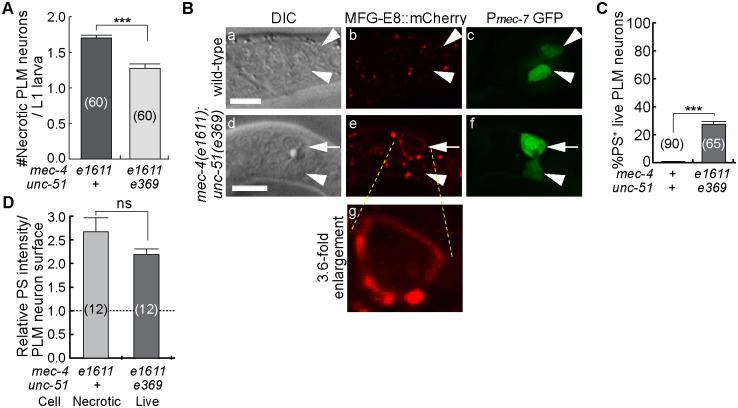 https://cdn.ncbi.nlm.nih.gov/pmc/blobs/06da/7904182/d537c133d8a4/pgen.1009066.g007.jpg
