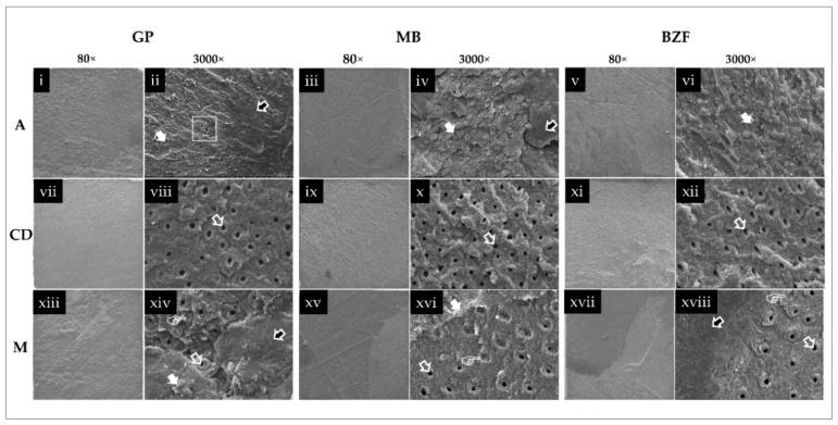 https://cdn.ncbi.nlm.nih.gov/pmc/blobs/06da/8036260/0d65aa57020f/polymers-13-01009-g003.jpg