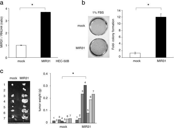 https://cdn.ncbi.nlm.nih.gov/pmc/blobs/06db/4067122/60f519bb0274/1476-4598-13-97-1.jpg