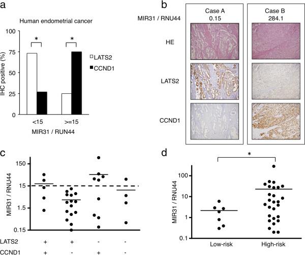 https://cdn.ncbi.nlm.nih.gov/pmc/blobs/06db/4067122/e7c37369d999/1476-4598-13-97-4.jpg