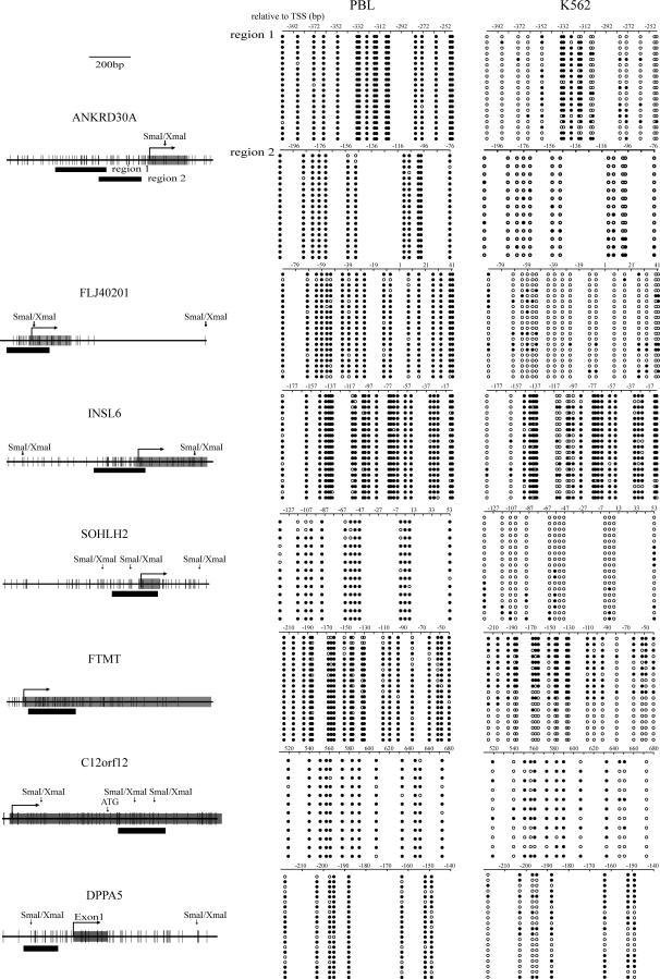https://cdn.ncbi.nlm.nih.gov/pmc/blobs/06dd/2041996/232029e683a4/pgen.0030181.g001.jpg