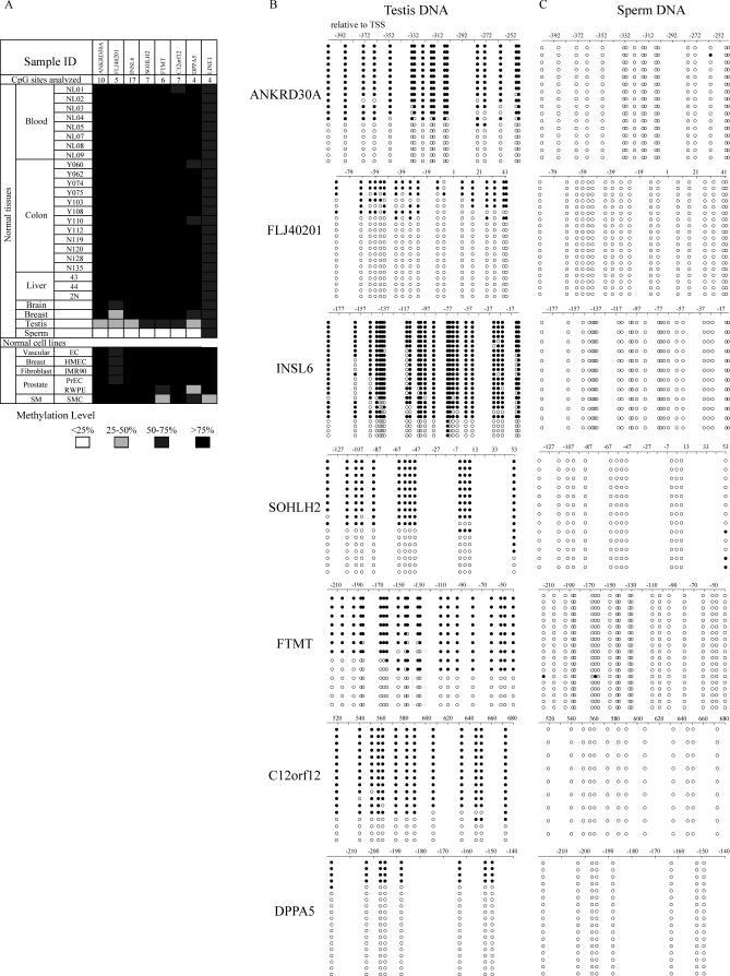 https://cdn.ncbi.nlm.nih.gov/pmc/blobs/06dd/2041996/3914813134d7/pgen.0030181.g002.jpg