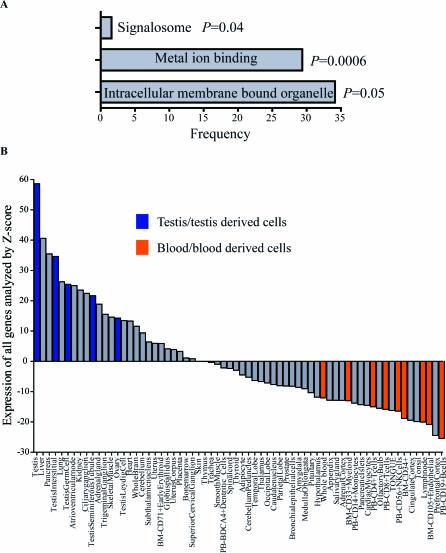 https://cdn.ncbi.nlm.nih.gov/pmc/blobs/06dd/2041996/877c3cc6f9fe/pgen.0030181.g004.jpg