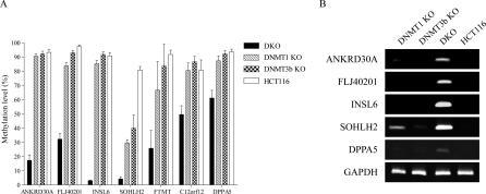 https://cdn.ncbi.nlm.nih.gov/pmc/blobs/06dd/2041996/8ea79d2b87d8/pgen.0030181.g008.jpg
