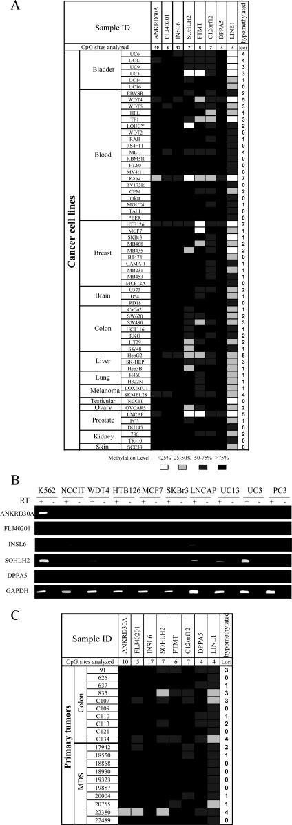 https://cdn.ncbi.nlm.nih.gov/pmc/blobs/06dd/2041996/e87c95f6ae45/pgen.0030181.g006.jpg