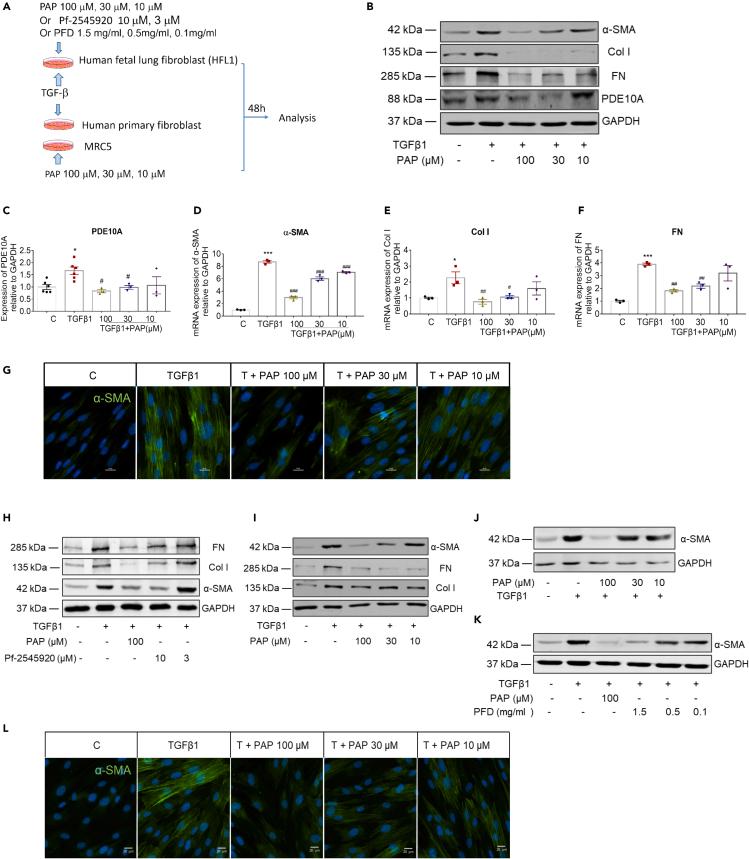 https://cdn.ncbi.nlm.nih.gov/pmc/blobs/06de/10149334/adb821bd53a9/gr2.jpg