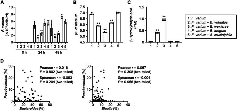 https://cdn.ncbi.nlm.nih.gov/pmc/blobs/06de/12302451/17506f4c96e5/40168_2025_2168_Fig4_HTML.jpg