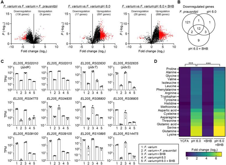 https://cdn.ncbi.nlm.nih.gov/pmc/blobs/06de/12302451/639755792530/40168_2025_2168_Fig3_HTML.jpg