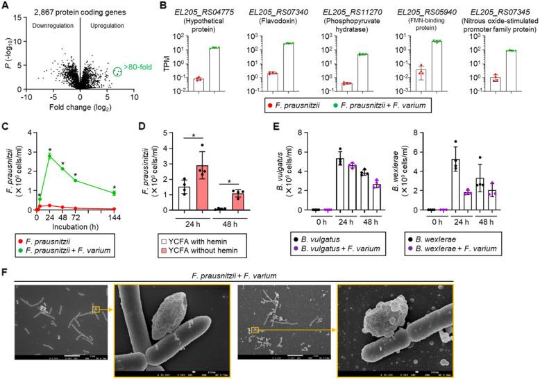 https://cdn.ncbi.nlm.nih.gov/pmc/blobs/06de/12302451/8681e7ce0bf7/40168_2025_2168_Fig5_HTML.jpg
