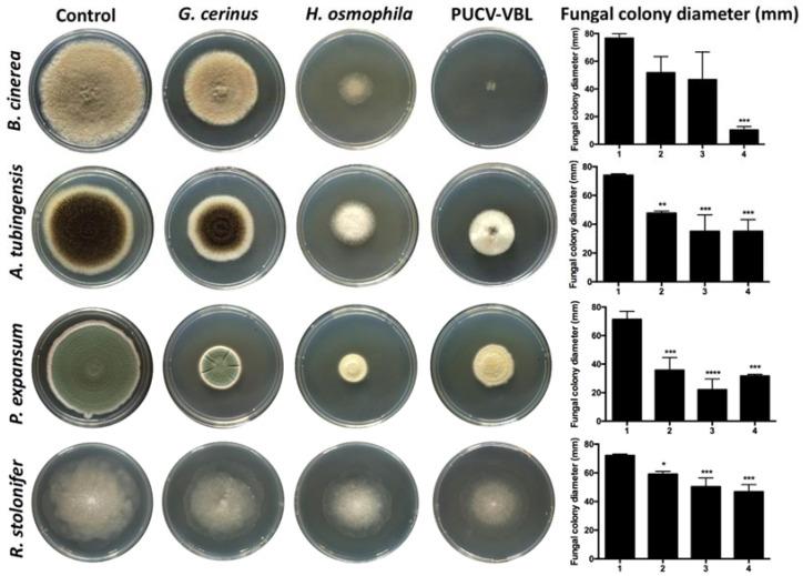 https://cdn.ncbi.nlm.nih.gov/pmc/blobs/06e0/8226828/362bf796c74d/antibiotics-10-00663-g001.jpg