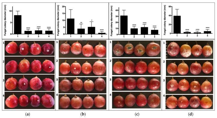 https://cdn.ncbi.nlm.nih.gov/pmc/blobs/06e0/8226828/ae610f4c704f/antibiotics-10-00663-g002a.jpg