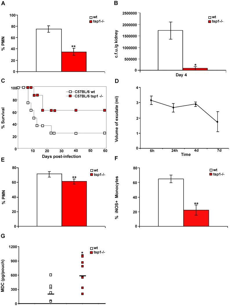 https://cdn.ncbi.nlm.nih.gov/pmc/blobs/06e1/3492437/5438045bbe62/pone.0048775.g001.jpg