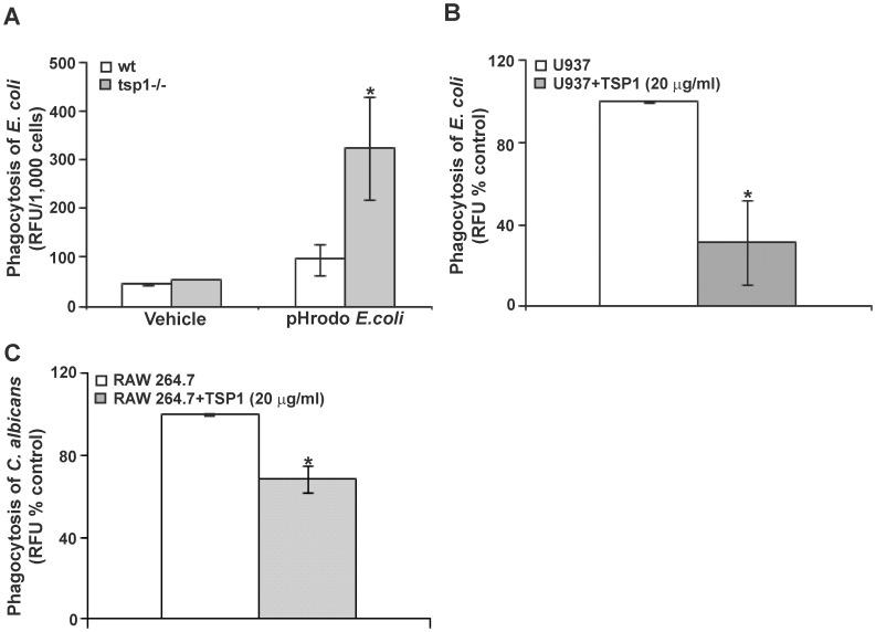 https://cdn.ncbi.nlm.nih.gov/pmc/blobs/06e1/3492437/6f9dfe1695c4/pone.0048775.g006.jpg