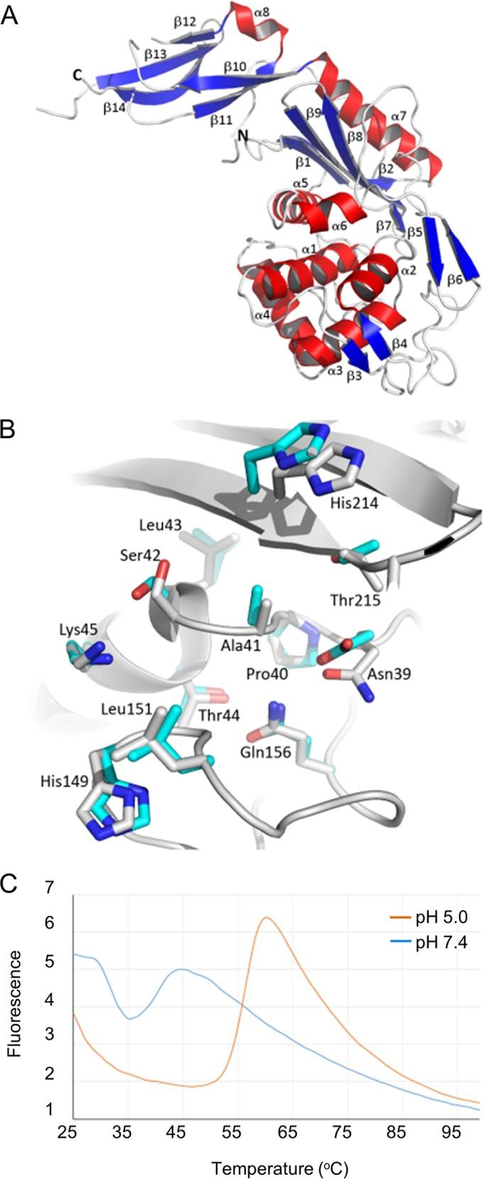 https://cdn.ncbi.nlm.nih.gov/pmc/blobs/06e1/4916385/91103dba7541/mbo0031628620004.jpg