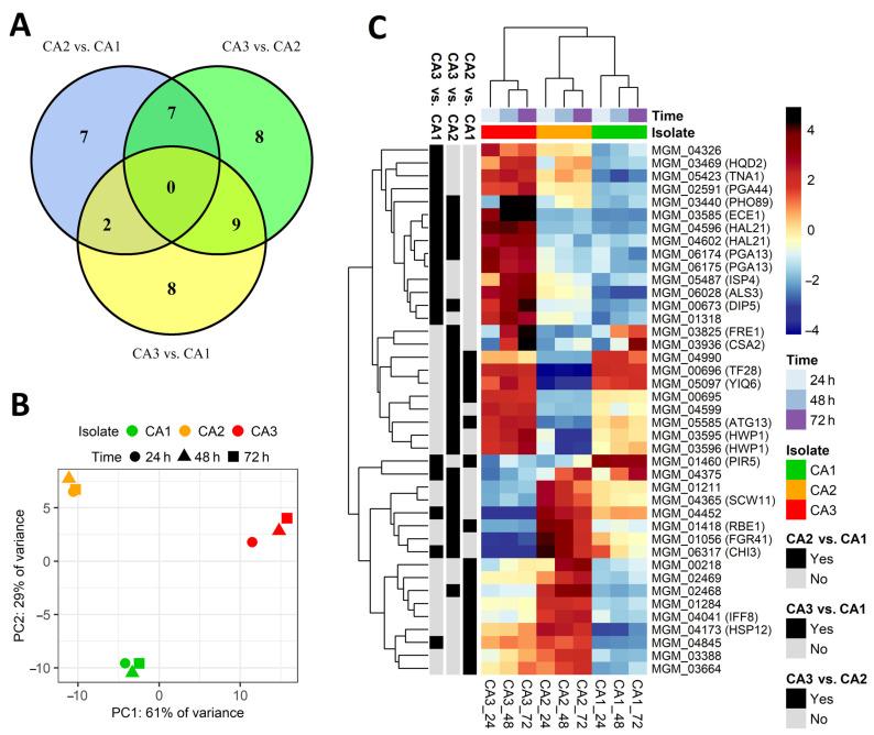 https://cdn.ncbi.nlm.nih.gov/pmc/blobs/06e2/9820384/bffd9a919d40/ijms-24-00368-g003.jpg