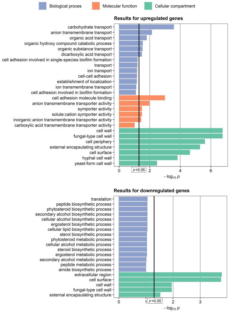 https://cdn.ncbi.nlm.nih.gov/pmc/blobs/06e2/9820384/fa1226e20994/ijms-24-00368-g004.jpg