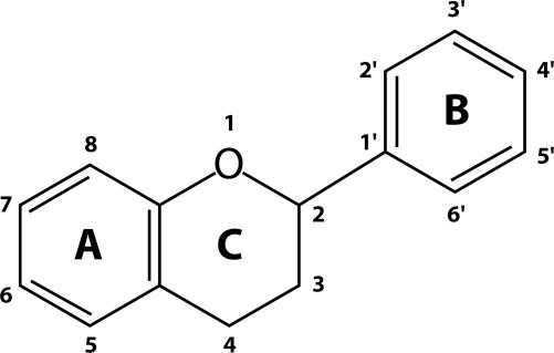 https://cdn.ncbi.nlm.nih.gov/pmc/blobs/06e4/3131677/2c0415a4499d/ITX-4-069-g001.jpg