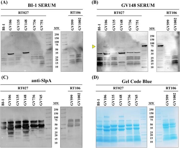 https://cdn.ncbi.nlm.nih.gov/pmc/blobs/06e5/9361768/c9ff41ff2a6e/TEMI_A_2105260_F0004_OC.jpg