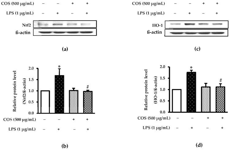 https://cdn.ncbi.nlm.nih.gov/pmc/blobs/06e6/10379839/0dcb5c8412ee/foods-12-02740-g006.jpg