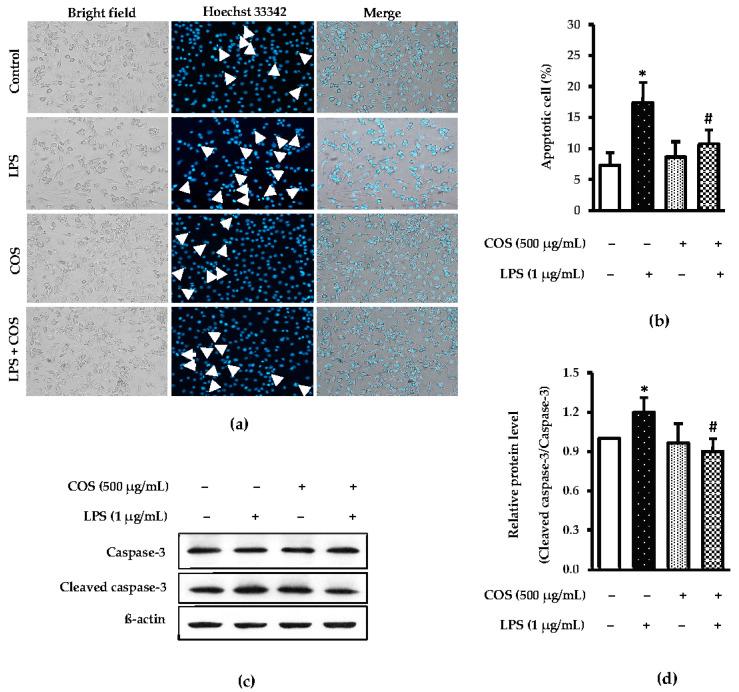 https://cdn.ncbi.nlm.nih.gov/pmc/blobs/06e6/10379839/e1f166a7b8ef/foods-12-02740-g003.jpg