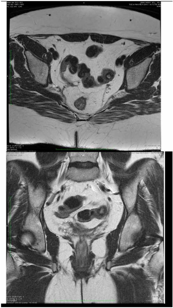 https://cdn.ncbi.nlm.nih.gov/pmc/blobs/06e7/6944454/e4661655740d/med-15-022-g001.jpg