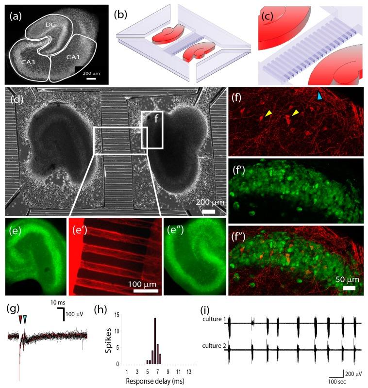 https://cdn.ncbi.nlm.nih.gov/pmc/blobs/06e9/6190100/c753b7962136/micromachines-07-00157-g005.jpg