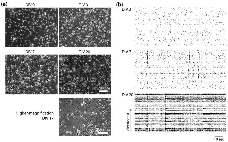 https://cdn.ncbi.nlm.nih.gov/pmc/blobs/06e9/6190100/e9417b3ee972/micromachines-07-00157-g001.jpg