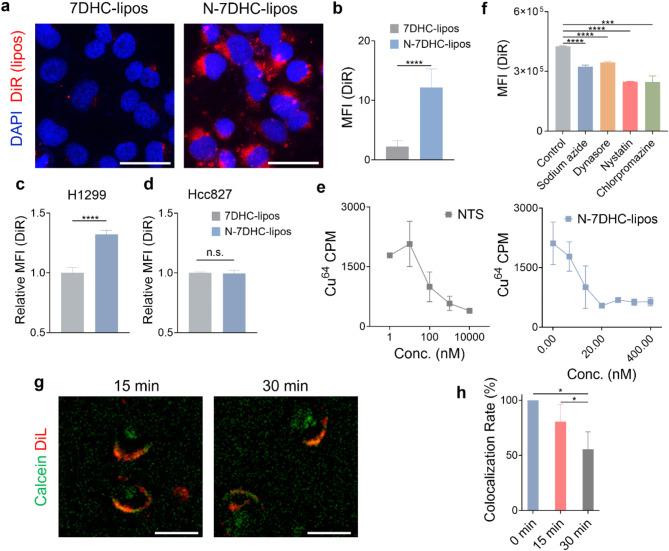 https://cdn.ncbi.nlm.nih.gov/pmc/blobs/06ec/11938788/143475c34055/12951_2025_3303_Fig2_HTML.jpg