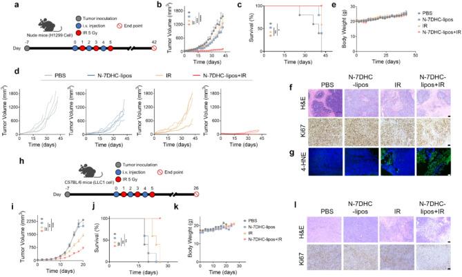 https://cdn.ncbi.nlm.nih.gov/pmc/blobs/06ec/11938788/2c211575a88a/12951_2025_3303_Fig6_HTML.jpg