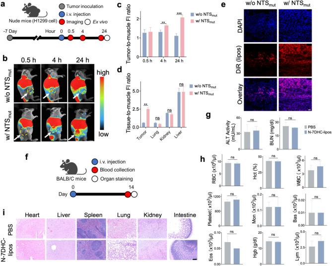 https://cdn.ncbi.nlm.nih.gov/pmc/blobs/06ec/11938788/6545dd912712/12951_2025_3303_Fig5_HTML.jpg