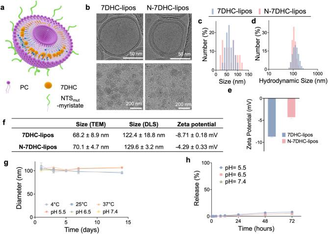 https://cdn.ncbi.nlm.nih.gov/pmc/blobs/06ec/11938788/e4324f94fcba/12951_2025_3303_Fig1_HTML.jpg