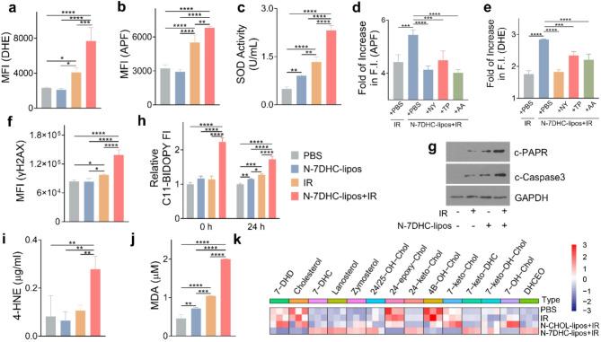 https://cdn.ncbi.nlm.nih.gov/pmc/blobs/06ec/11938788/fc7de3fdd59b/12951_2025_3303_Fig3_HTML.jpg
