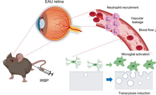 https://cdn.ncbi.nlm.nih.gov/pmc/blobs/06ec/8979956/1391132adaf0/12276_2022_733_Fig8_HTML.jpg