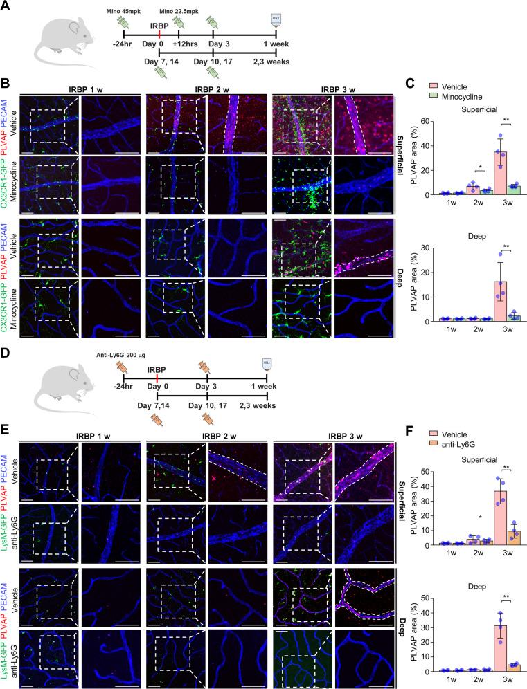 https://cdn.ncbi.nlm.nih.gov/pmc/blobs/06ec/8979956/b298c5552284/12276_2022_733_Fig4_HTML.jpg