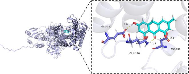 https://cdn.ncbi.nlm.nih.gov/pmc/blobs/06ee/12350399/6070672bd5d0/fimmu-16-1636977-g010.jpg