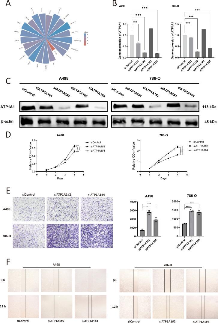 https://cdn.ncbi.nlm.nih.gov/pmc/blobs/06ee/12350399/6e6ad4232592/fimmu-16-1636977-g009.jpg
