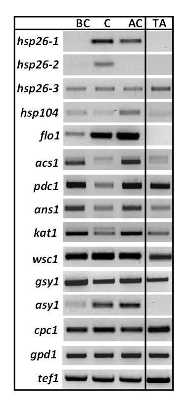 https://cdn.ncbi.nlm.nih.gov/pmc/blobs/06ef/2794292/b83939f65ef2/1471-2164-10-567-2.jpg
