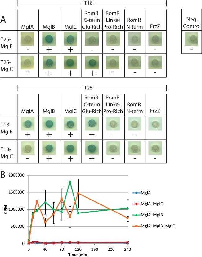 https://cdn.ncbi.nlm.nih.gov/pmc/blobs/06f1/4719450/6d89b9069660/zjb9990939010004.jpg
