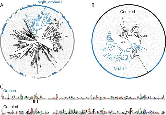 https://cdn.ncbi.nlm.nih.gov/pmc/blobs/06f1/4719450/70c472701da6/zjb9990939010001.jpg