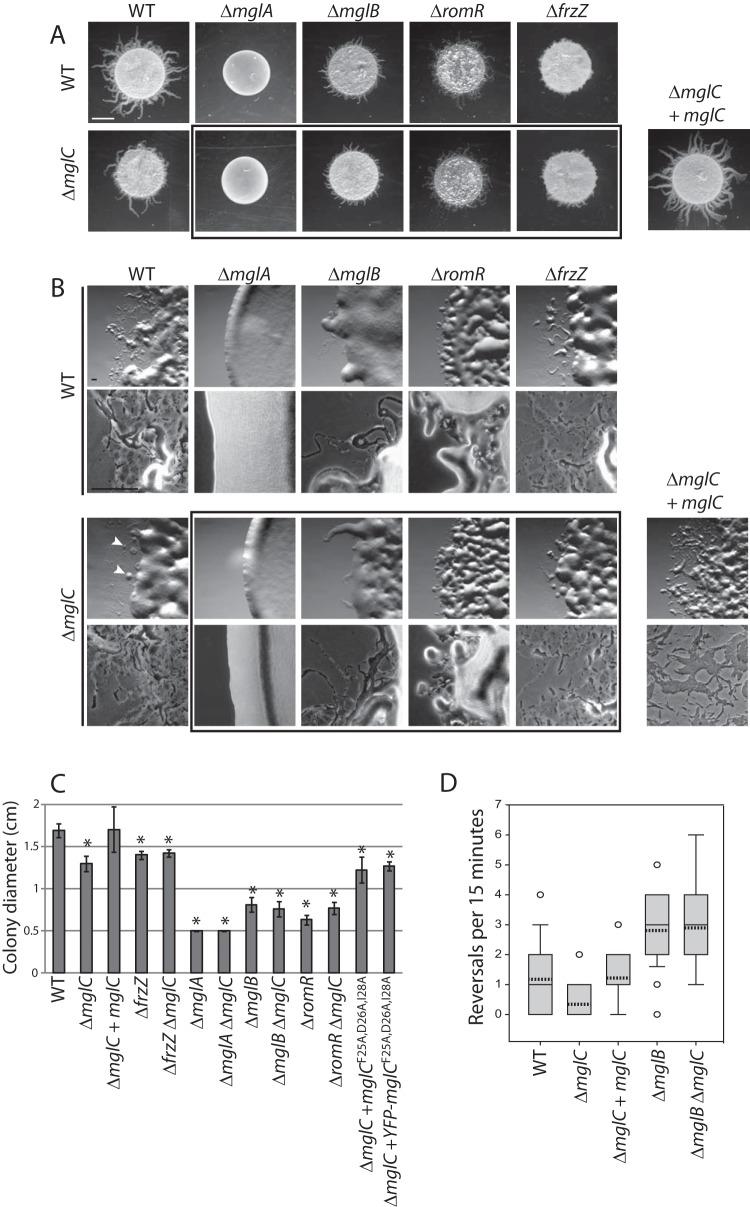 https://cdn.ncbi.nlm.nih.gov/pmc/blobs/06f1/4719450/7775b31b1014/zjb9990939010002.jpg
