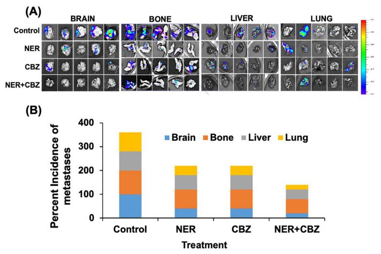 https://cdn.ncbi.nlm.nih.gov/pmc/blobs/06f1/7601177/e2789bcbac9d/cancers-12-02838-g005.jpg