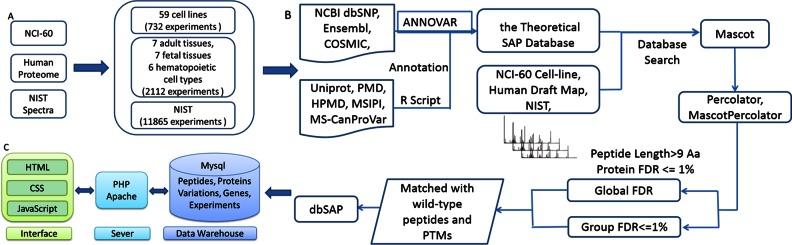 https://cdn.ncbi.nlm.nih.gov/pmc/blobs/06f3/5210569/60d937072785/gkw1096fig1.jpg