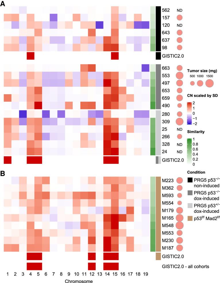 https://cdn.ncbi.nlm.nih.gov/pmc/blobs/06f3/8336898/c94cf125a2aa/1093f04.jpg