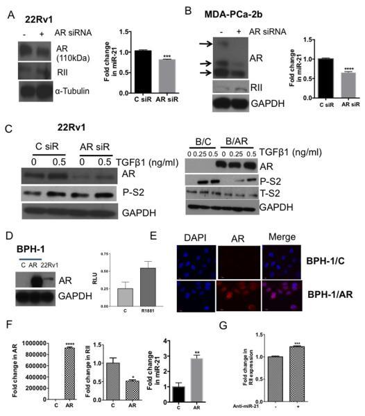 https://cdn.ncbi.nlm.nih.gov/pmc/blobs/06f4/3962713/b2b66cacaf66/nihms-560213-f0005.jpg