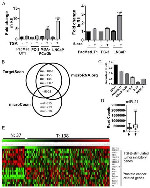 https://cdn.ncbi.nlm.nih.gov/pmc/blobs/06f4/3962713/f3f1795351c2/nihms-560213-f0002.jpg