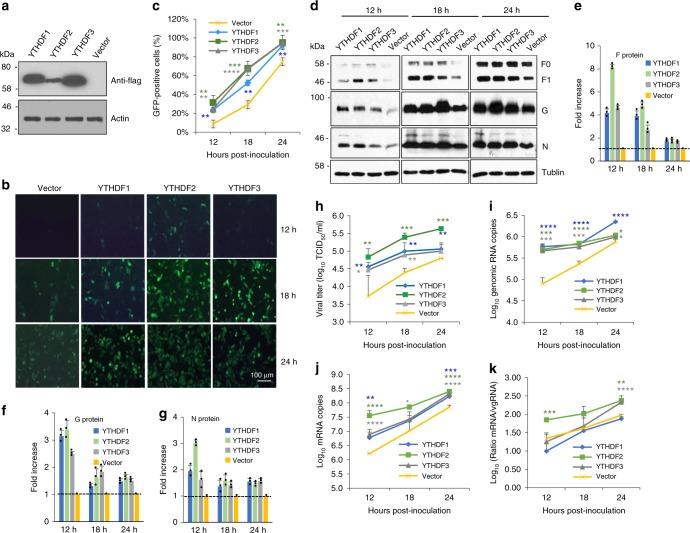 https://cdn.ncbi.nlm.nih.gov/pmc/blobs/06f5/6785563/d4fd5ced9b89/41467_2019_12504_Fig2_HTML.jpg