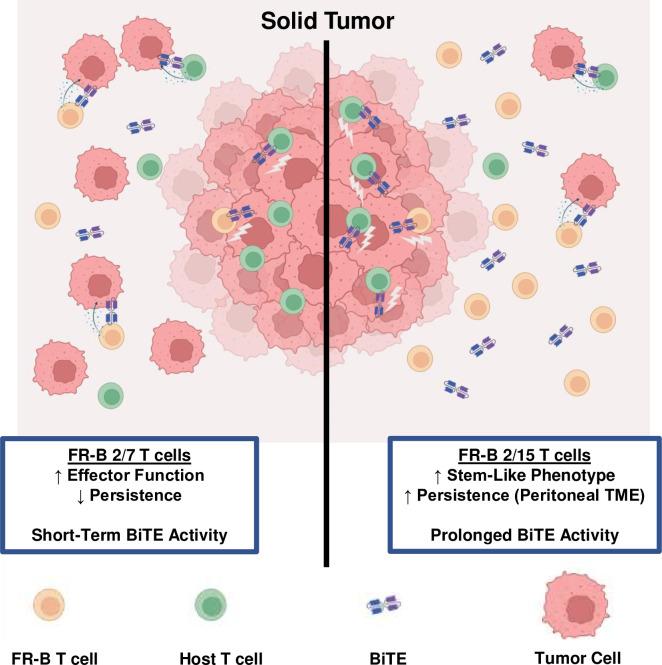 https://cdn.ncbi.nlm.nih.gov/pmc/blobs/06f6/10314690/83f9055c6657/jitc-2023-006863f06.jpg
